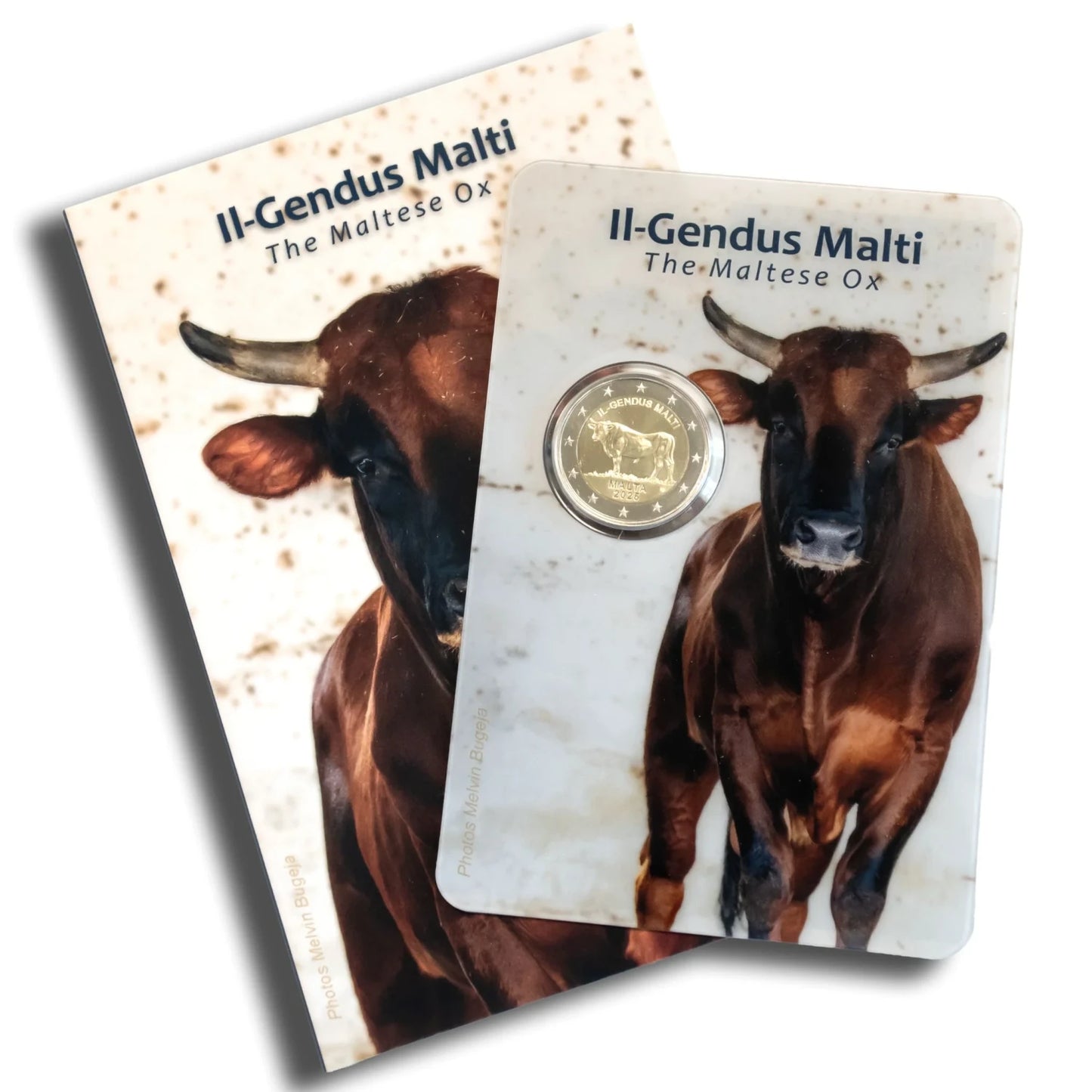 2 euro Malta Wół maltański 2025 coincard