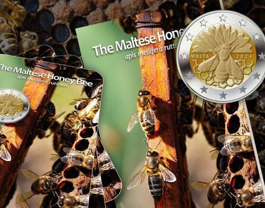 2 euro Malta Pszczoła 2024 coincard