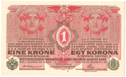 Austro-Węgry, 1 korona, egy korona, eine krone, 1916, stan 1/1-, piękny